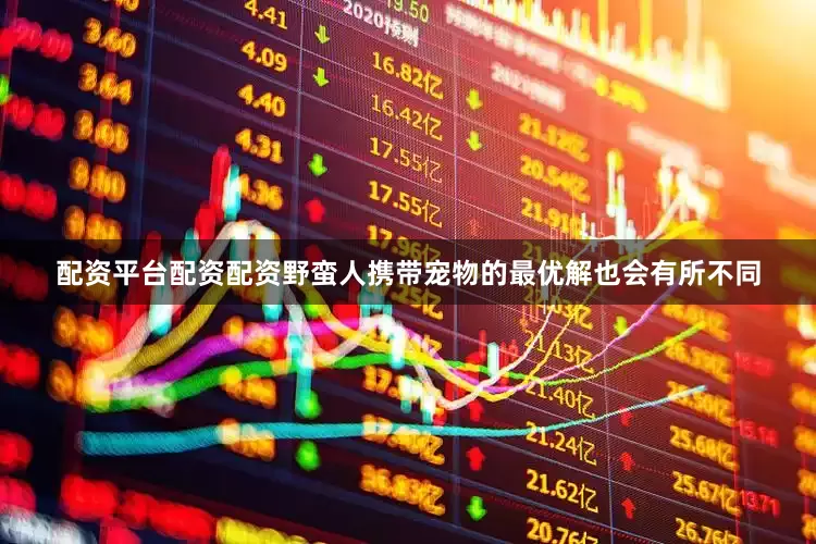 配资平台配资配资野蛮人携带宠物的最优解也会有所不同