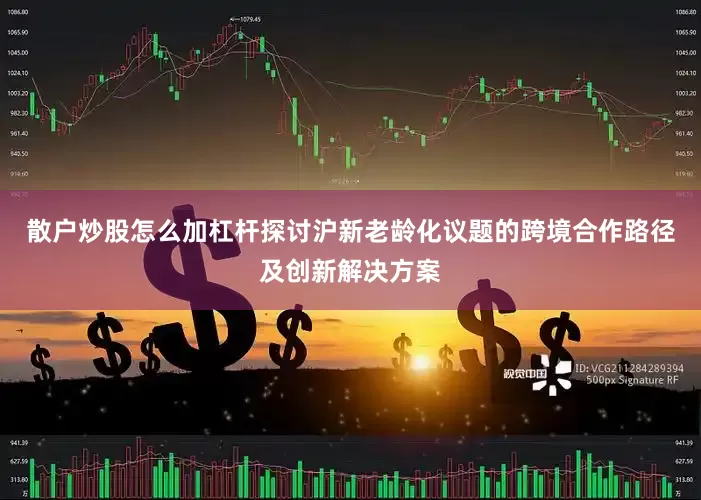 散户炒股怎么加杠杆探讨沪新老龄化议题的跨境合作路径及创新解决方案