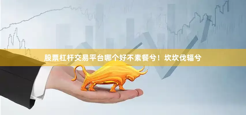 股票杠杆交易平台哪个好不素餐兮！坎坎伐辐兮