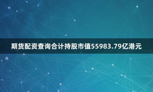 期货配资查询合计持股市值55983.79亿港元